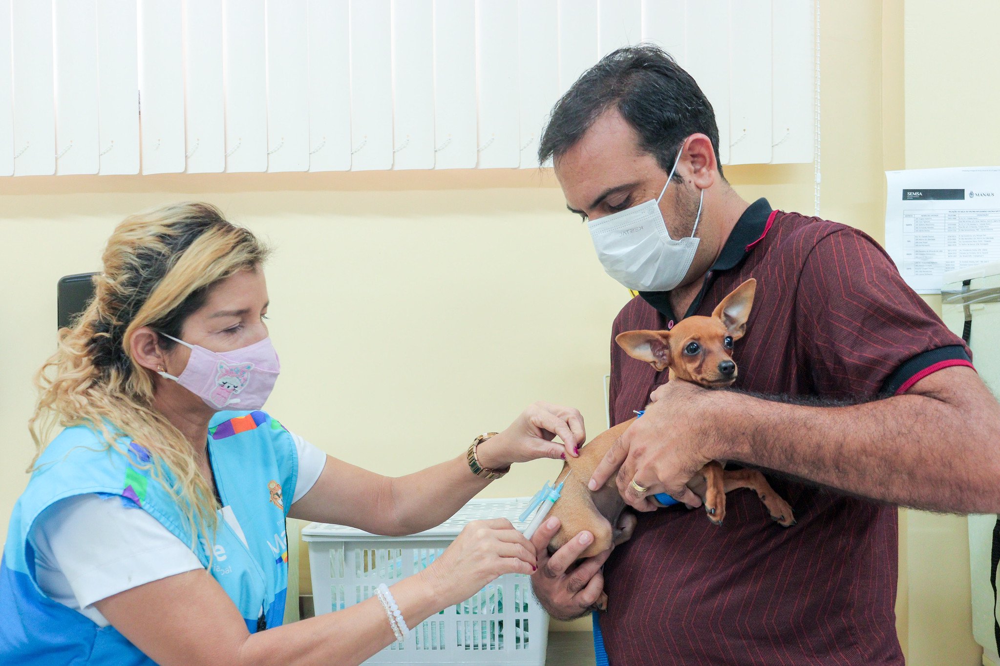 Centro de Controle de Zoonoses de Manaus vacinará animais no feriado prolongado