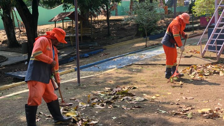 Limpeza Parque da Crianca 1