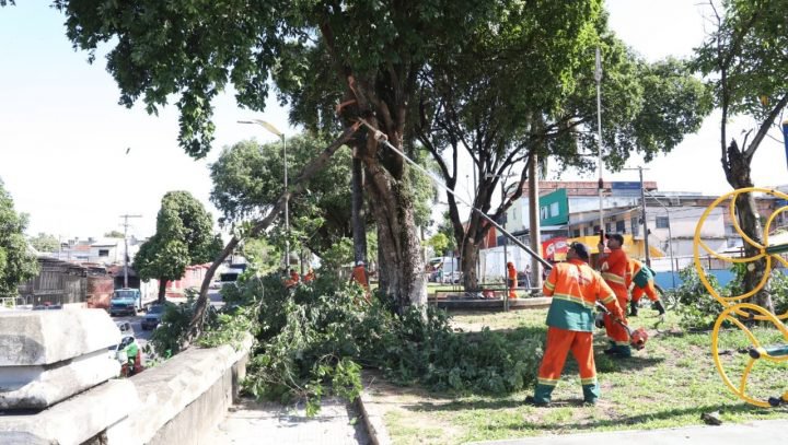 Prefeitura realiza serviço de poda para aumentar visibilidade no trânsito