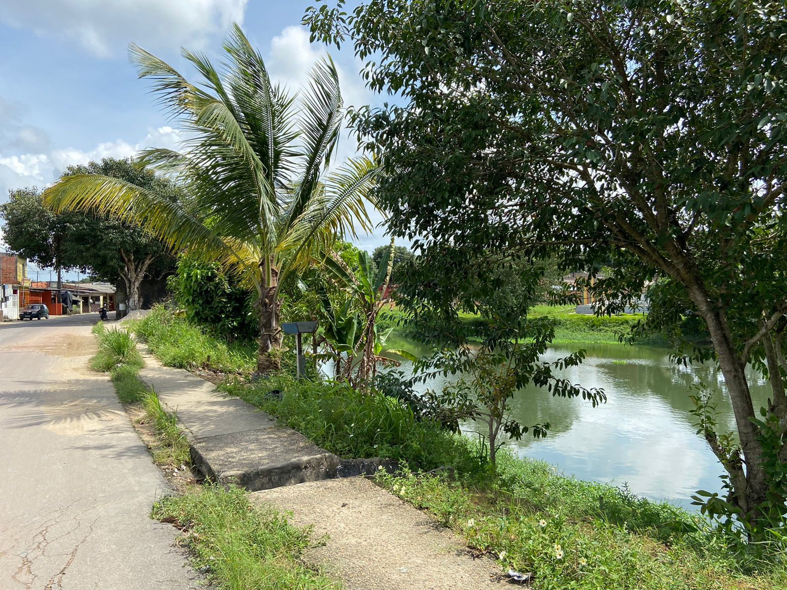 Lagoa no Parque São Pedro