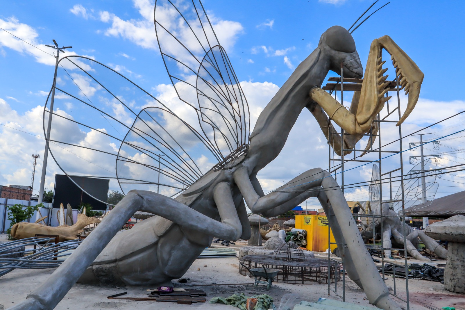 Gigantes da Floresta