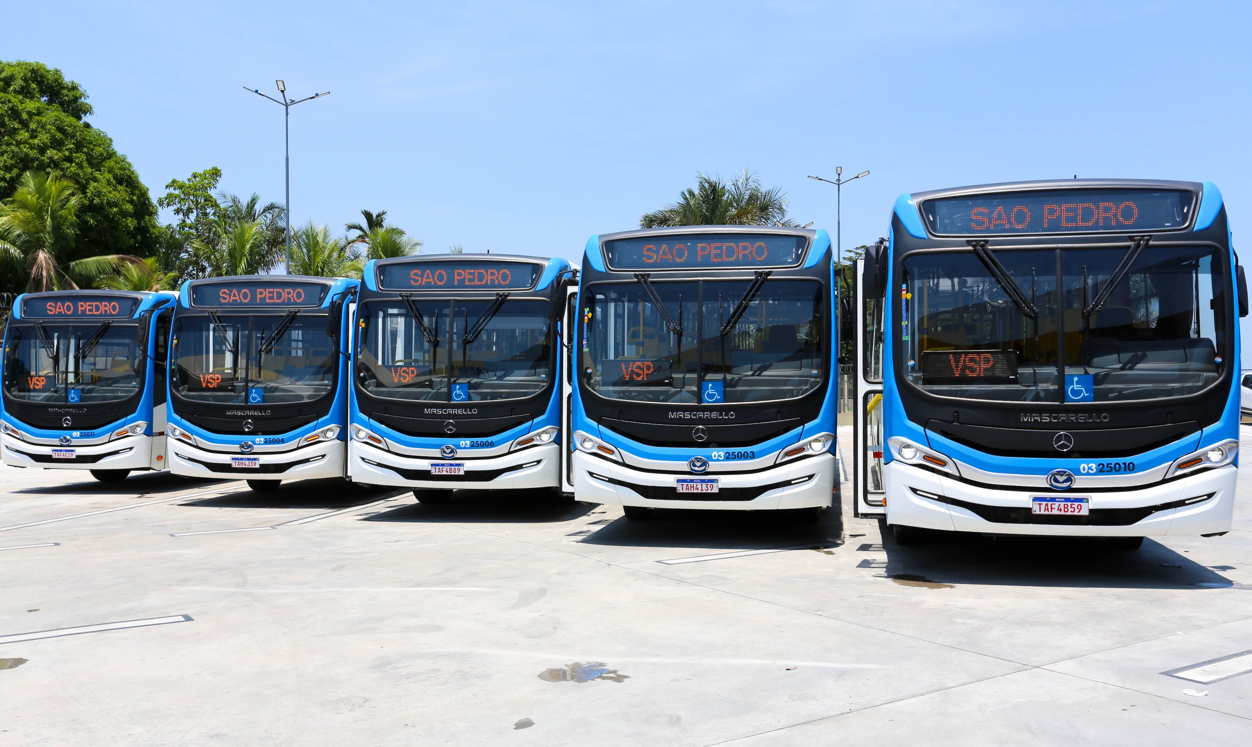 Ônibus