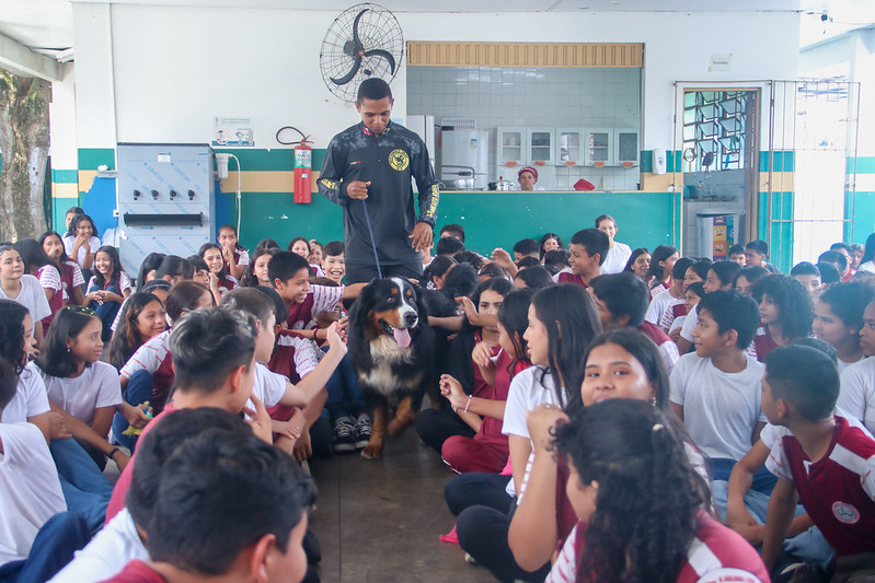 Ação educativa