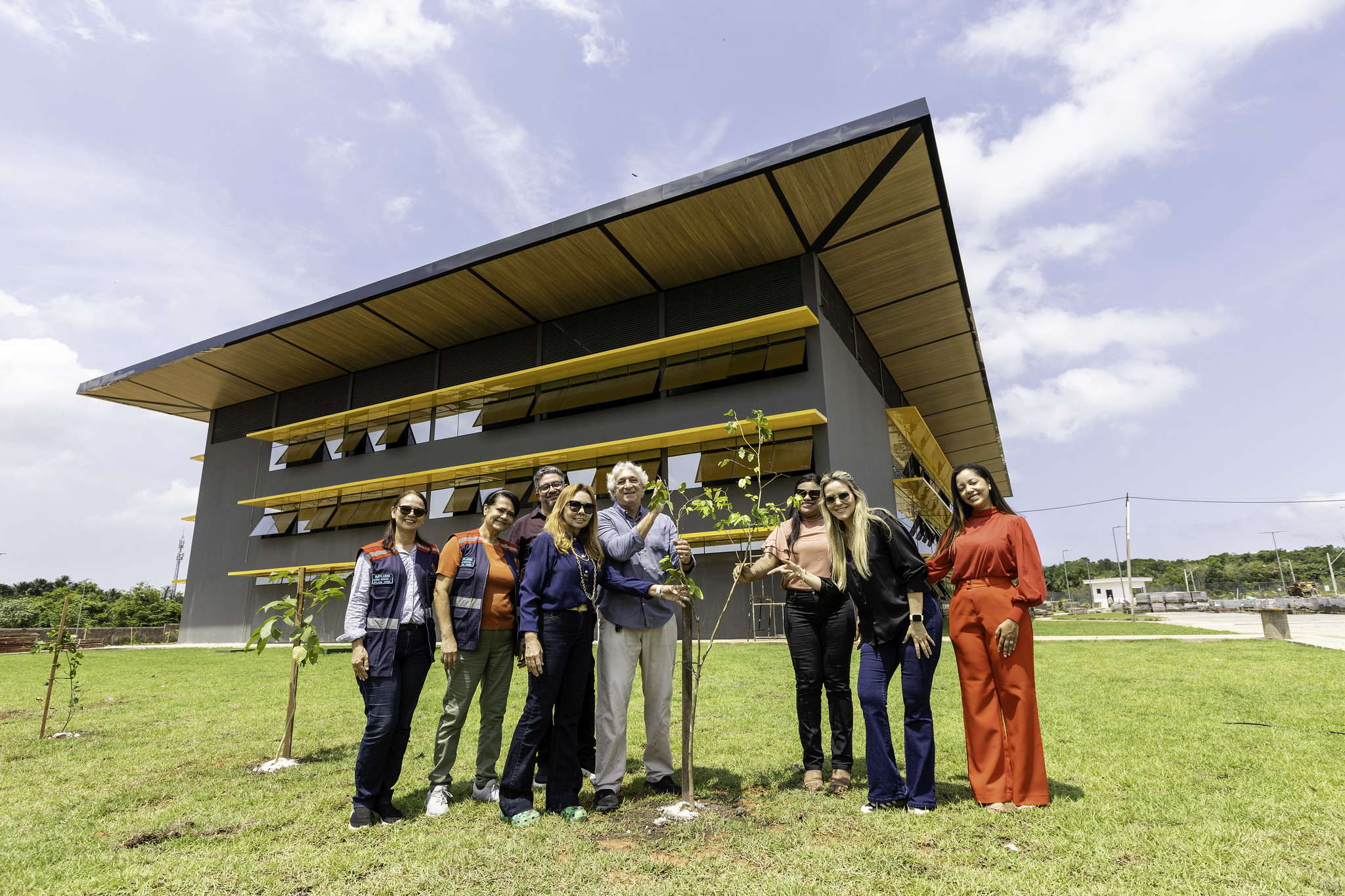 Arborização