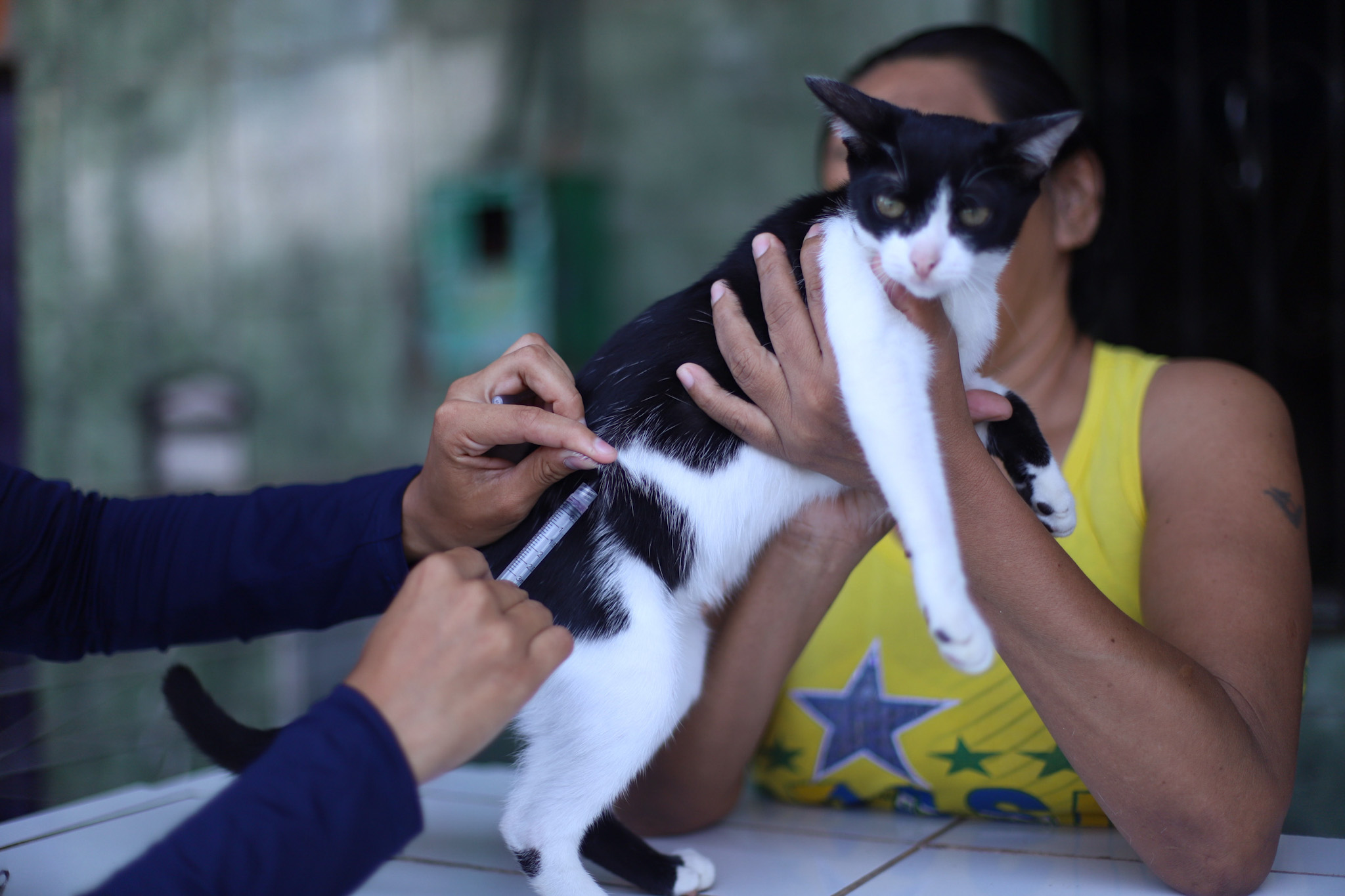 imunização contra raiva